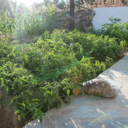 Edem Hotel apartamentowy 3*